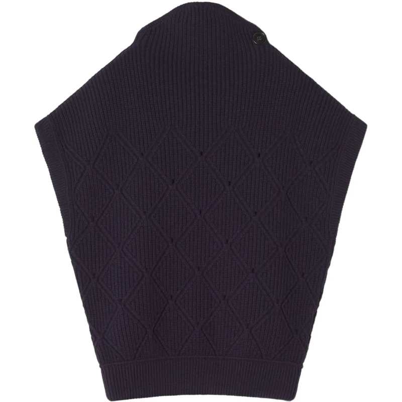 Lanvin  Sweaters Blue blau