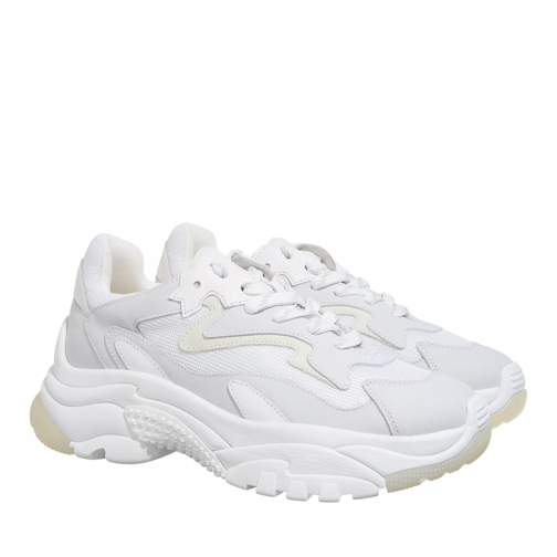 Ash Addict05 White Low-Top Sneaker