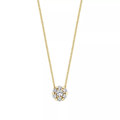 Blush Necklace 3097YZI - Gold (14k) with Zirconia  Yellow Gold Short Necklace
