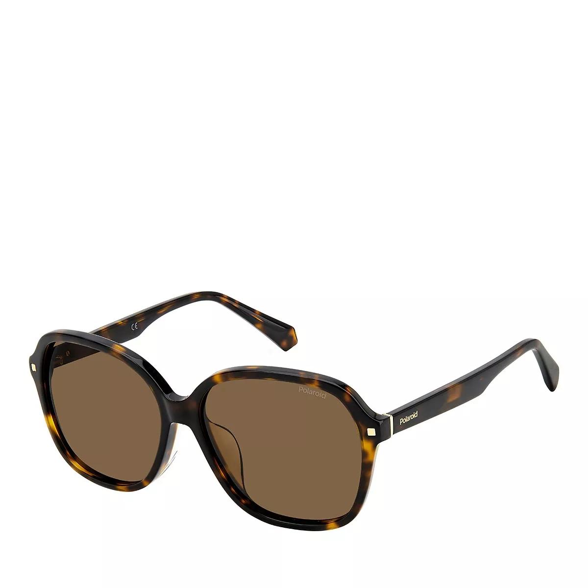 Polaroid store havana sunglasses