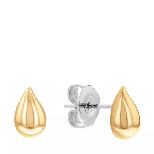 Calvin Klein Sculptured Drops Studs Gold Clou d'oreille