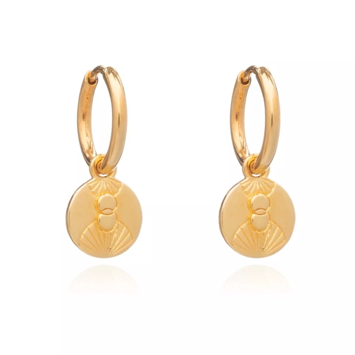 Rachel Jackson London Luminary Art Coin Huggies  Yellow Gold Drop Earring