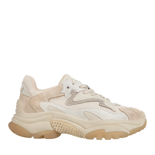 Ash Low-Top Sneaker Addict03 Beige/White