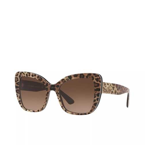 Dolce&Gabbana Women Sunglasses Origin 0DG4348 Leo Brown On Black Solglasögon