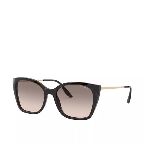 Prada Women Sunglasses Catwalk 0PR 12XS Havana Sonnenbrille
