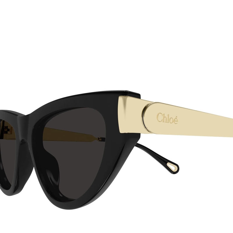 Chloé Sonnenbrille Aly Combi Cat Eye schwarz(Image 3)