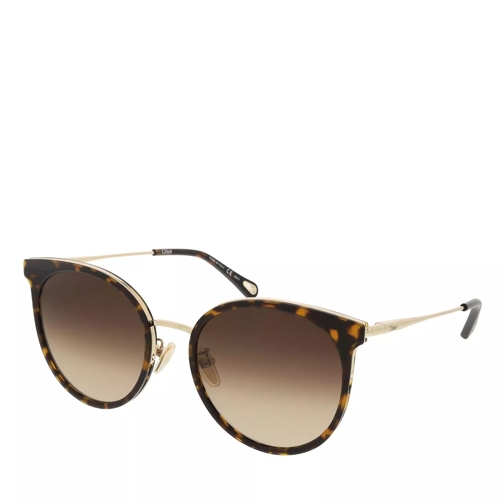 Chloé CH0060SK-002 56 Sunglass Woman Bio Acetate Havana-Gold-Brown Sunglasses