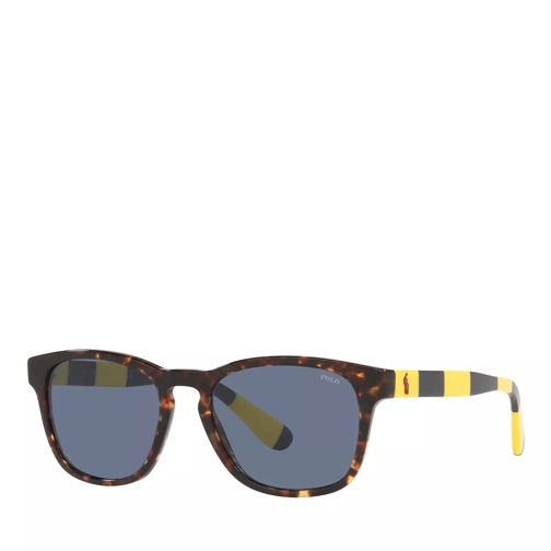 Polo Ralph Lauren 0PH4170 Sunglasses Shiny Antique Tortoise Solglasögon