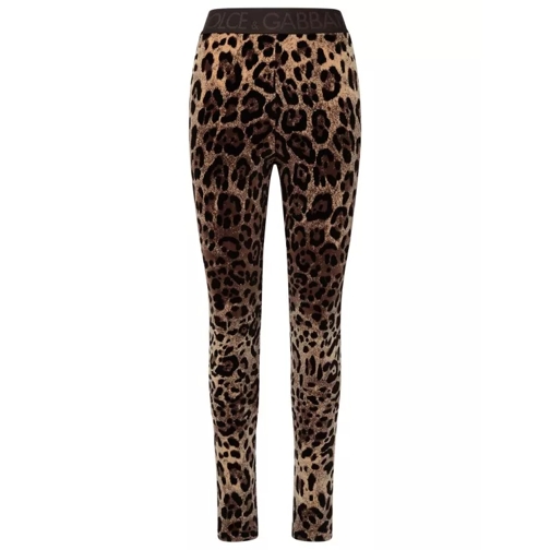 Dolce&Gabbana Leopard Leggings Brown 