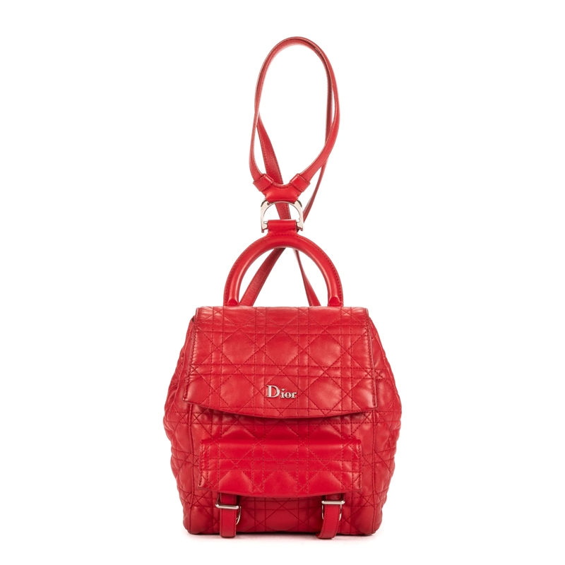 Christian Dior Crossbody Bag Stardust Backpack Small rot