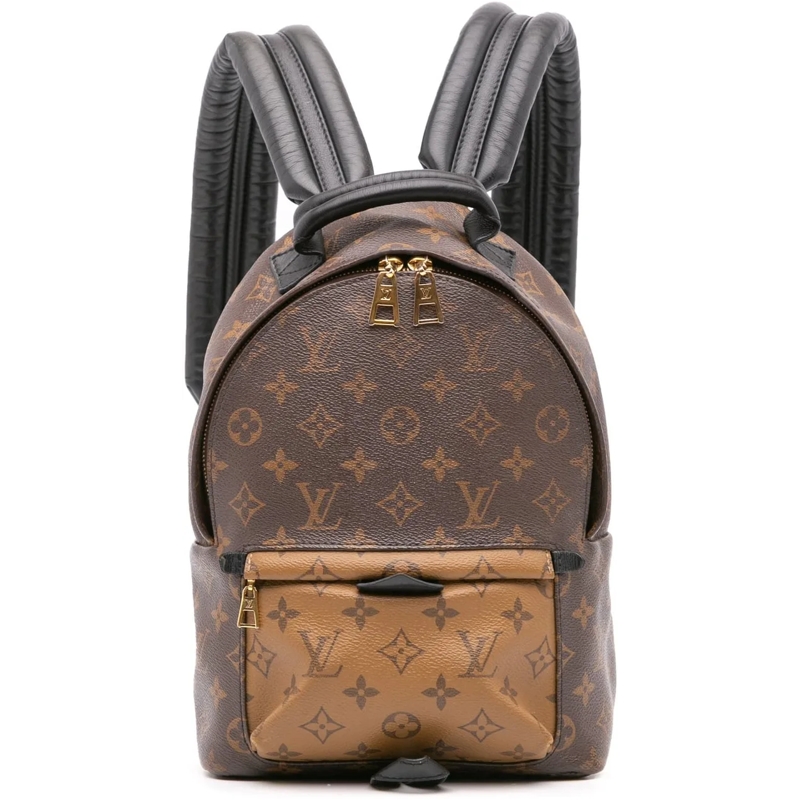 Louis Vuitton Rucksack Monogram Reverse Palm Springs PM braun