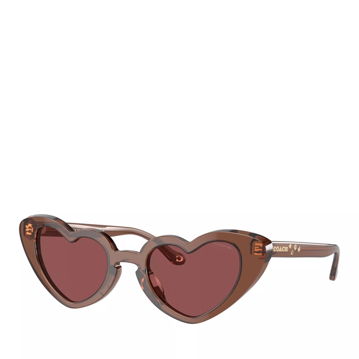 Coach transparent burgundy Sunglasses store 555785