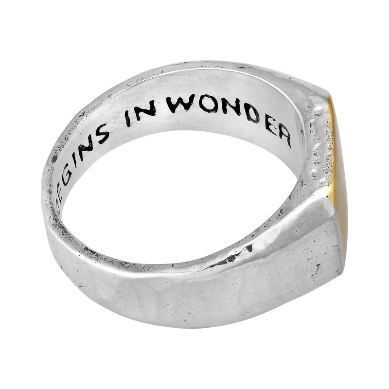 Haze & Glory Siegelring Ring Siegelring - Wisdom 925 Sterling Silber silber(Image 6)