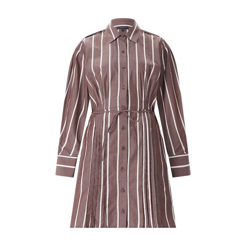 Rag & Bone Minikleid Gestreiftes Blusenkleid Taylor braun