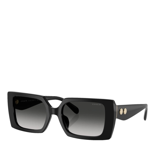 Coach CW224 Black Lunettes de soleil