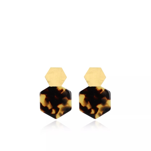 LOTT.gioielli Earrings Resin Hexagon Closed Small Turtoise Gold Örhänge