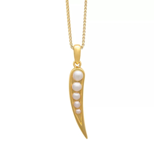 Rachel Jackson London 22K Plated Kindred Pearl Necklace gold Lange Halskette