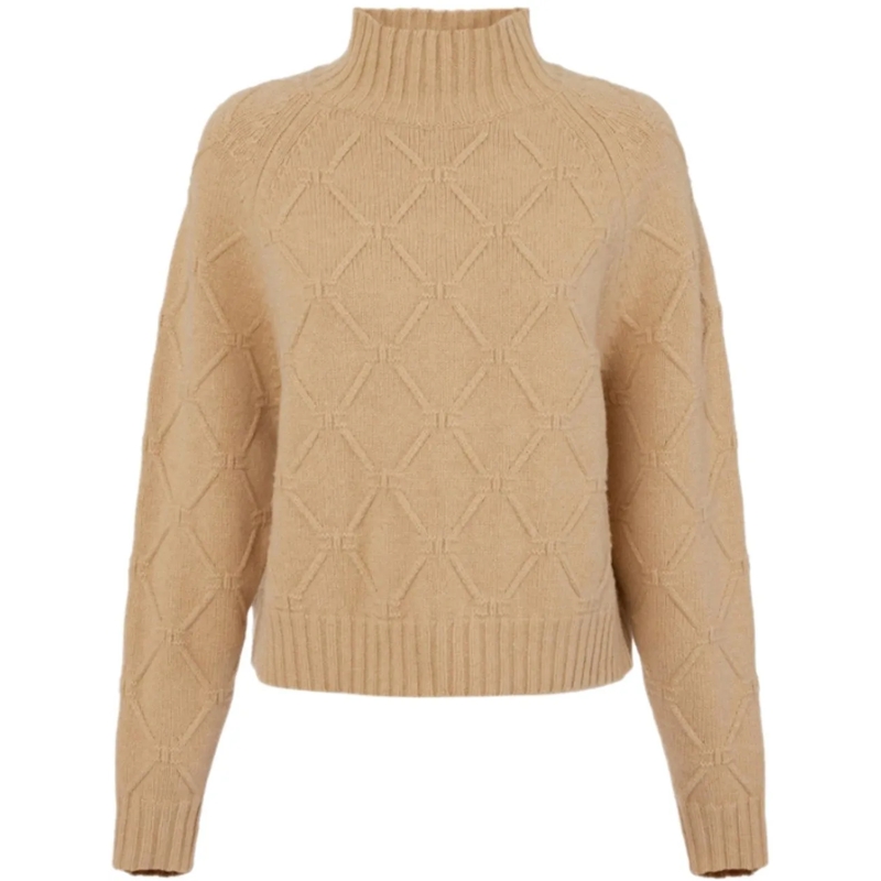Elisabetta Franchi  Sweaters Miele beige