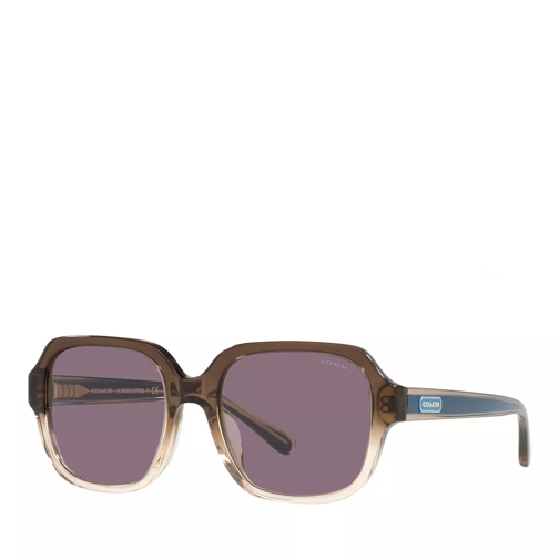 Coach Sunglasses 0HC8335U Transparent Brown Gradient Sonnenbrille