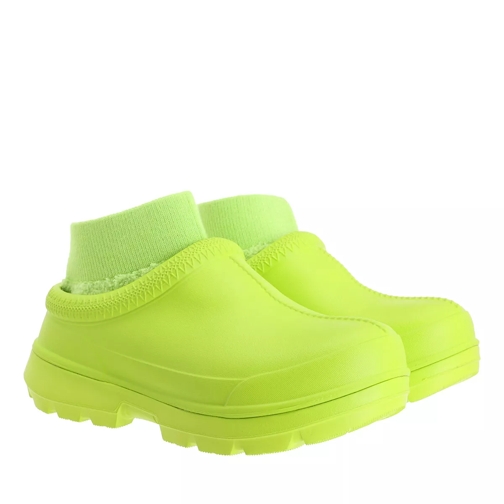 key lime tasman
