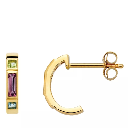 Indygo Seoul Earing with Peridot Rhodolite Topaz Yellow Gold Hoop