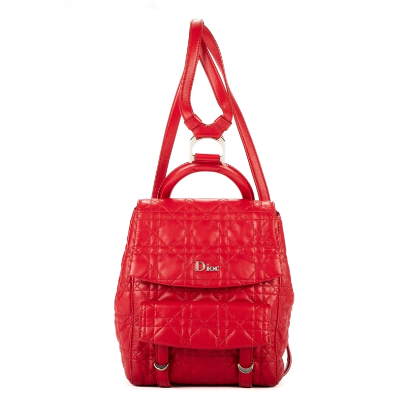 Christian Dior Crossbody Bag Stardust Backpack Small rot