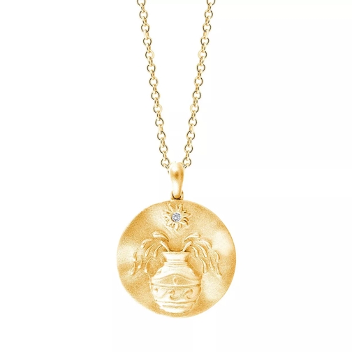 Pukka Berlin Zodiac Pendant - Aquarius Yellow Gold Mittellange Halskette