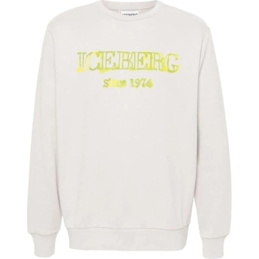 Iceberg  Iceberg Sweaters Lichtgrijs 24i I1p 0 E06b 6300 grau