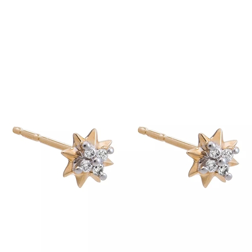 Rachel Jackson London 9K Solid Diamond North Star Stud Earring gold Clou d'oreille