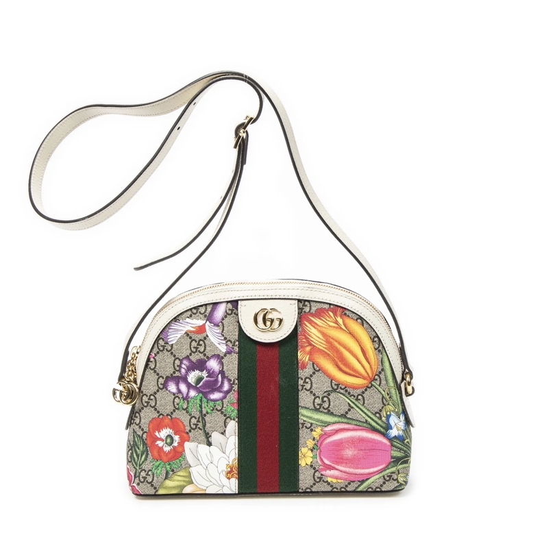 Gucci Crossbody Bag Small Web Ophidia Dome offwhite