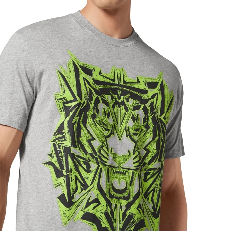 Plein Sport T-Shirt T-Shirt Thunder Tiger grau(Image 3)