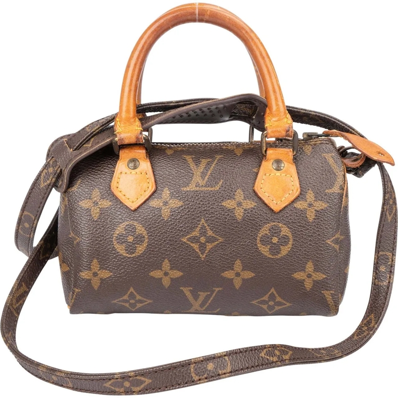 Louis Vuitton Tote Louis Vuitton Canvas Monogram Mini Speedy Handbag braun