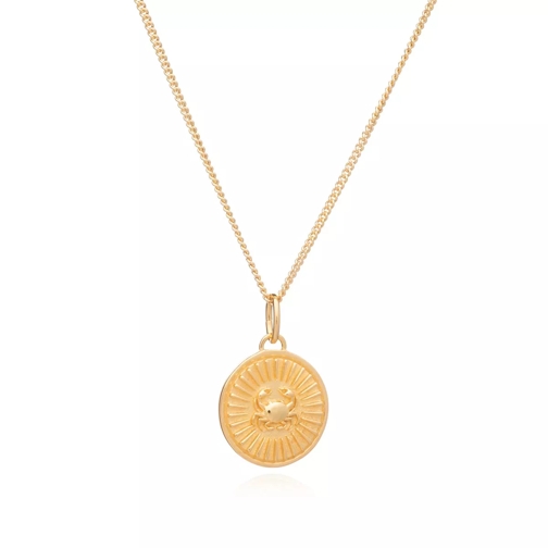 Rachel Jackson London Cancer Zodiac Art Coin Necklace  Yellow Gold Medium Necklace