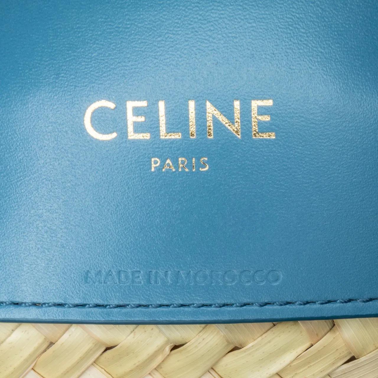 Celine Crossbody bags 2022 Teen Palm Leaves Triomphe Classic Panier Tote in bruin