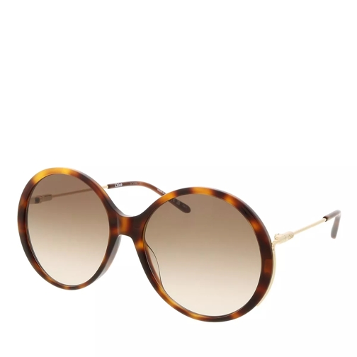 Chloé CH0171S HAVANA-GOLD-BROWN Sunglasses