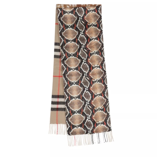 Burberry Deer Snake Cashmere Scarf Honey Sciarpa in cashmere