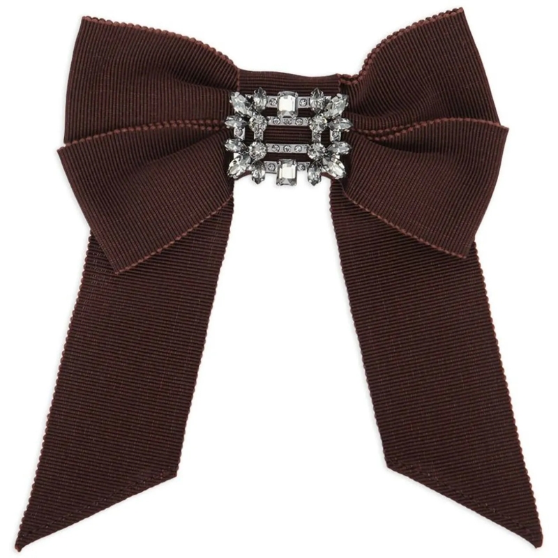 Roger Vivier  Accessories Brown braun