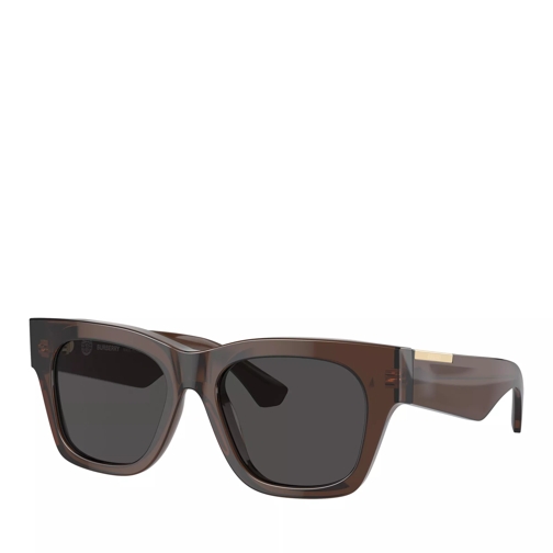 Burberry Sunglasses 0BE4424 52 411687 Brown