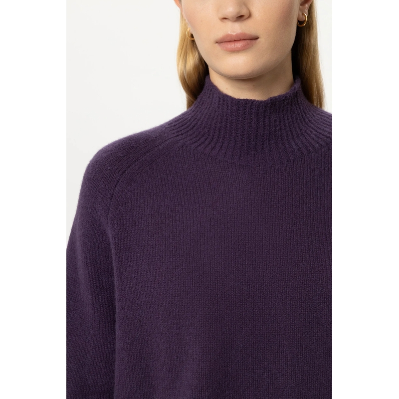Luisa Cerano Trui met col Turtleneck aus Kaschmir-Mix plum(Image 5)