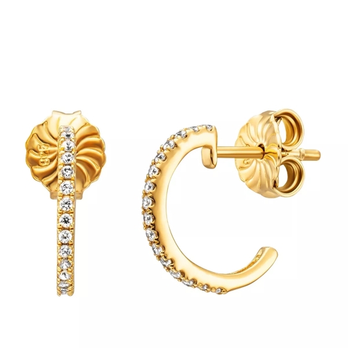 BELORO Creole Half Earring  Gold-Plated Band
