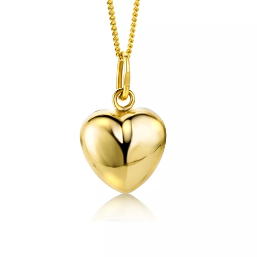 DIAMADA 9KT Heart Pendant on 45cm Chain Yellow Gold Mittellange Halskette