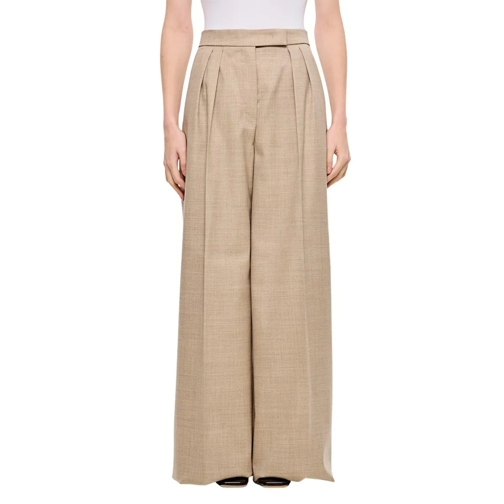 Max Mara  Entrata Wide Leg Pinces Pant Neutrals