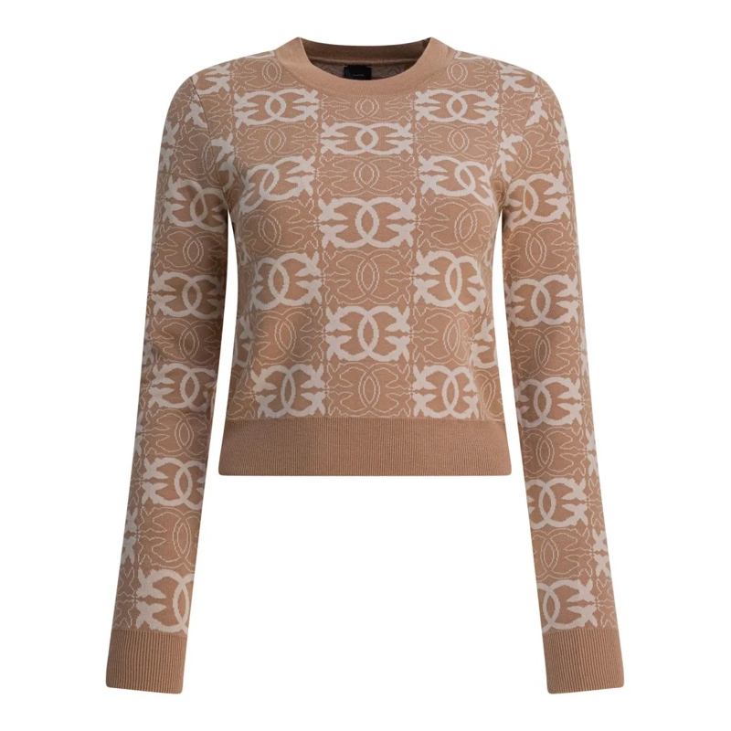 Pinko Trui Beige Viscose-Poly Knitwear Brown