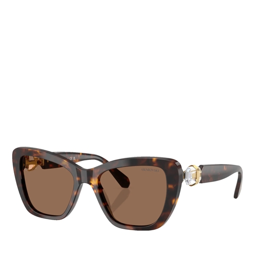 Swarovski 0SK6018 Havana Sonnenbrille