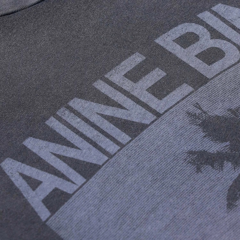 Anine Bing T-Shirt T-Shirt mit Print grau(Image 3)