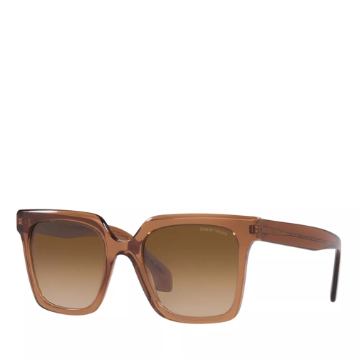 Giorgio Armani Sunglasses 0AR8156 Transparent Brown Sonnenbrille