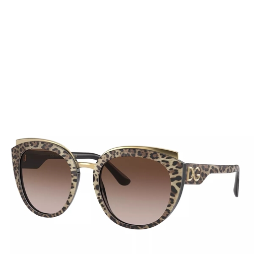 Dolce&Gabbana AZETAT WOMEN SONNE LEO BROWN ON BLACK Sunglasses