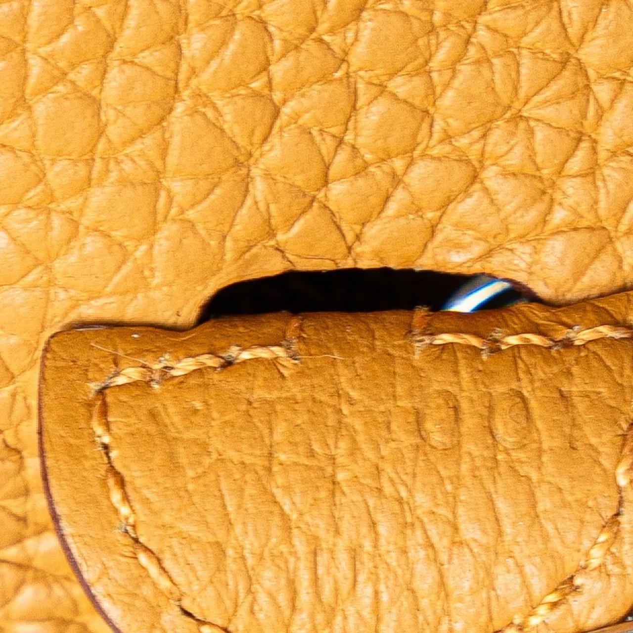 Hermès Hobo bags 2020 Clemence Evelyne Amazone 16 in bruin