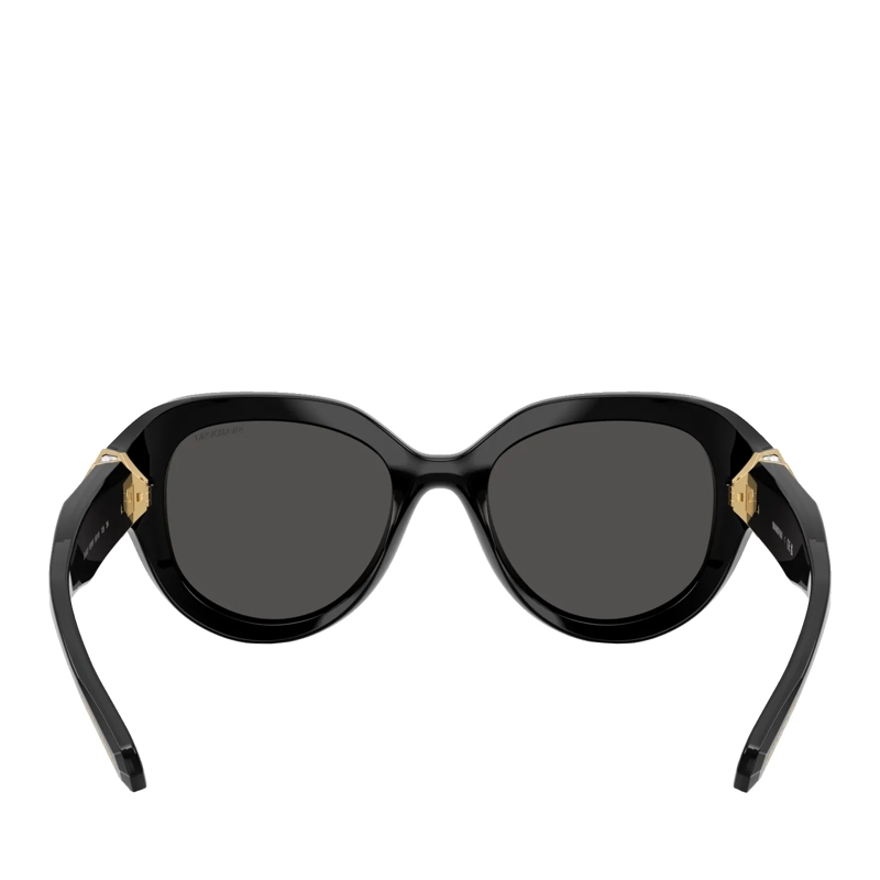 Swarovski Zonnebril 0SK6037 10018750 Black (Image 6)