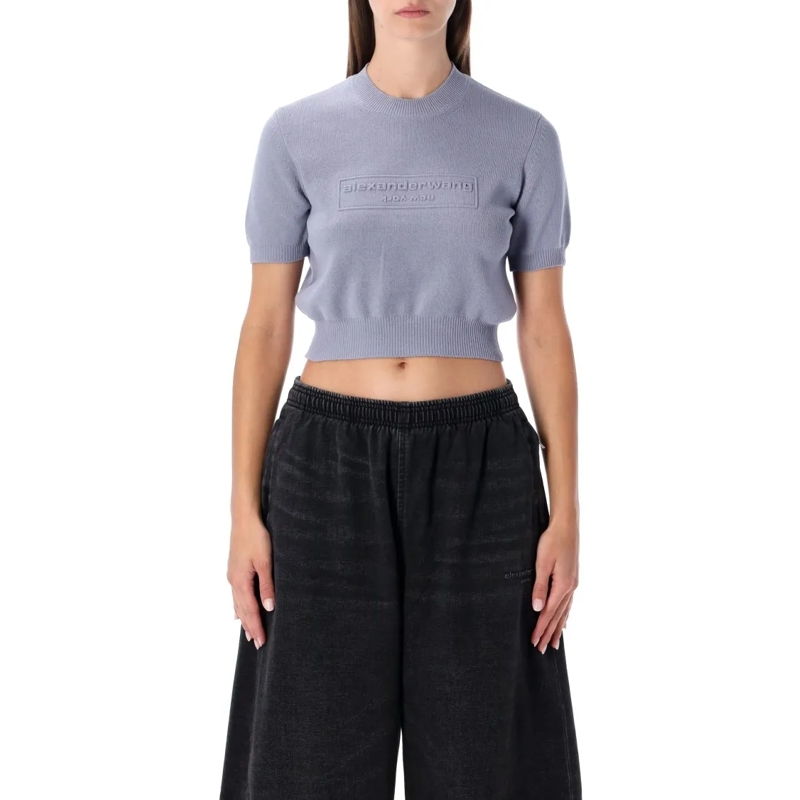 Alexander Wang Trui Cropped Ribbed Chenille Sweater With Logo Grey